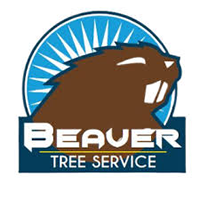 Beaver Tree Service