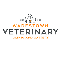 Wadestown Veterinary Clinic And Cattery